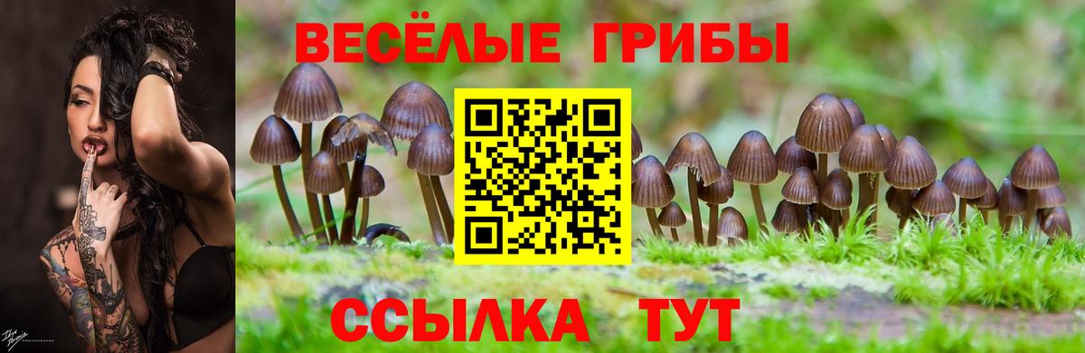 магазин  наркотиков  Галлюциногенные грибы Psilocybine cubensis  Псилоцибиновые грибы Psilocybe  Вход с VPN  Миллерово 